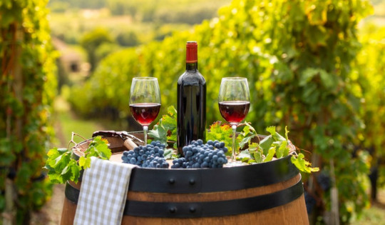 Beste Weinregionen Frankreich
