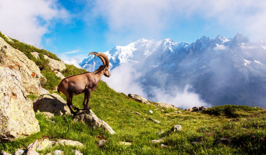 Alpen Frankreich schönste Wanderungen