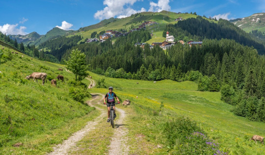 Schönste Mountainbiketouren Bayern