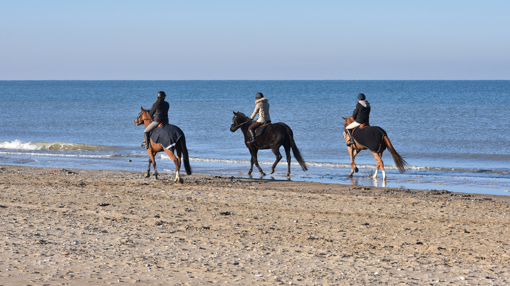 balade a cheval sur la plage