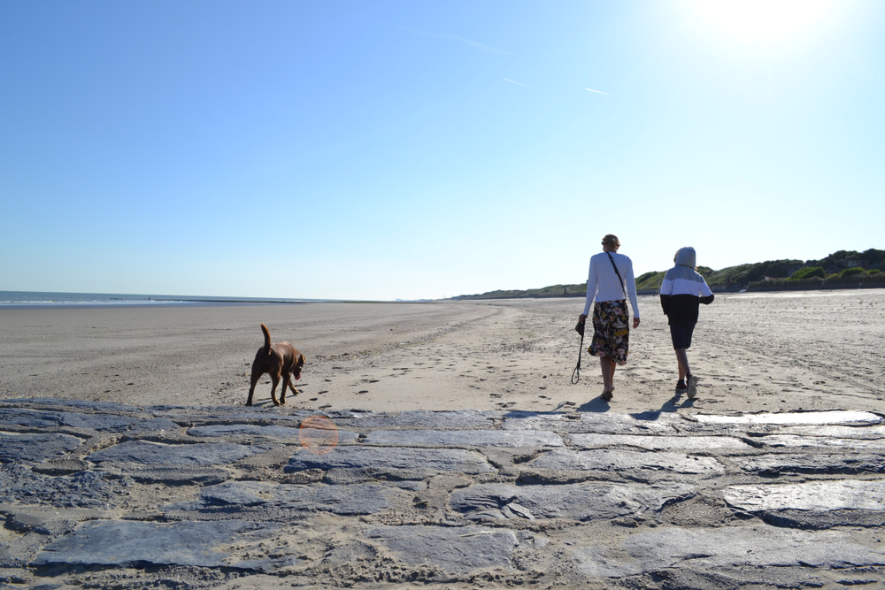 plage pour chiens ostende