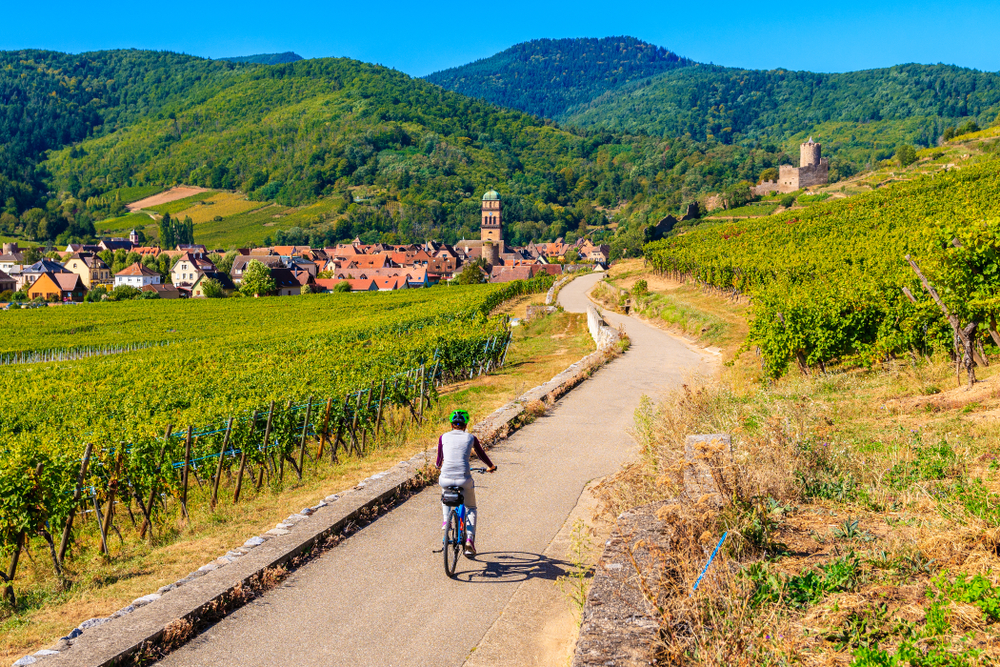 région viticole france : Route des vins d'Alsace