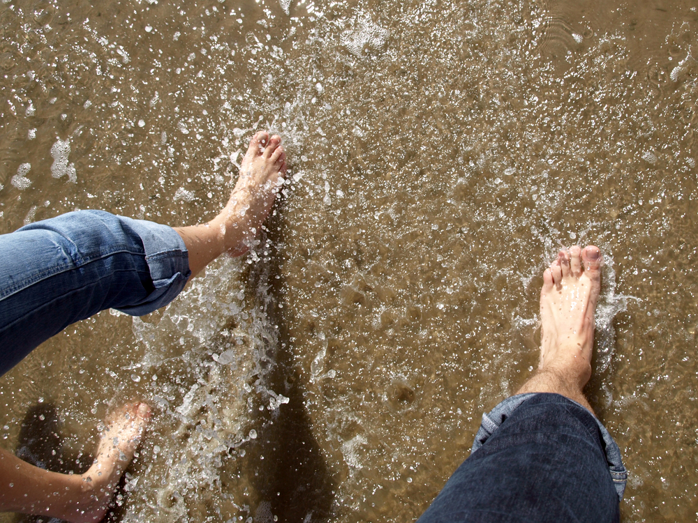 Nordsee Wattwandern