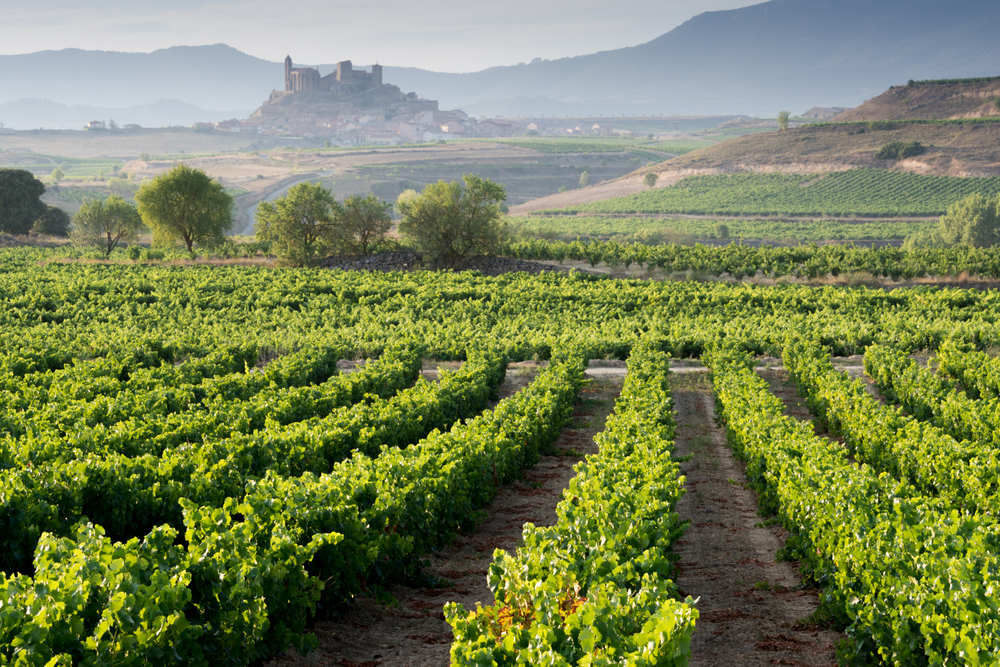 vin espagnol : la rioja